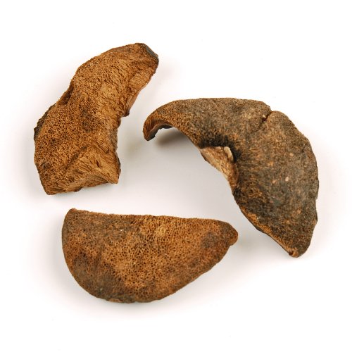 Dried Boletes Mushrooms, 1 Lb.