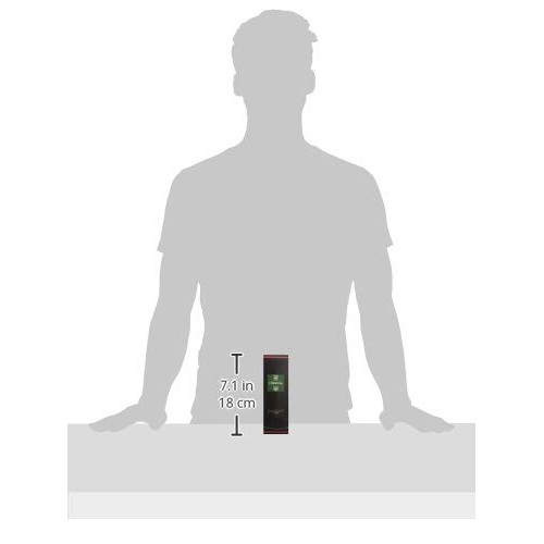 Dammann Freres - Loriental Green Tea - 24 Wrapped Crystal Envel