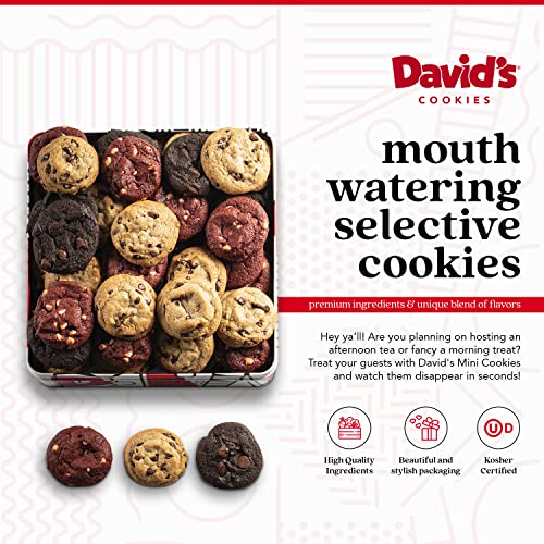Davids Fresh-Baked Cookies Tin, 0.50 Oz Assorted Mini Cookies W