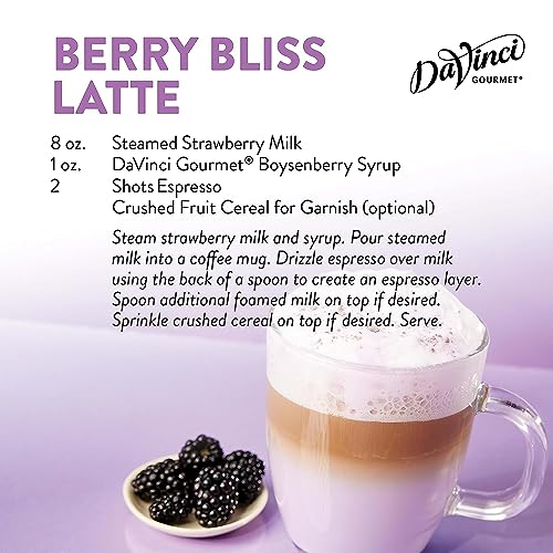 DaVinci Gourmet Boysenberry Syrup, 25.4 Fluid Ounce Pack of 1