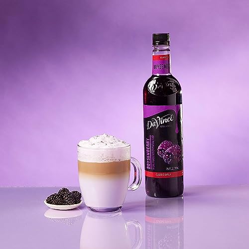 DaVinci Gourmet Boysenberry Syrup, 25.4 Fluid Ounce Pack of 1