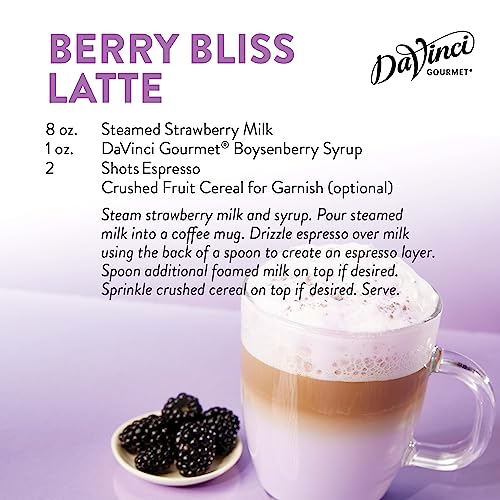 DaVinci Gourmet Boysenberry Syrup, 25.4 Fluid Ounce Pack of 1