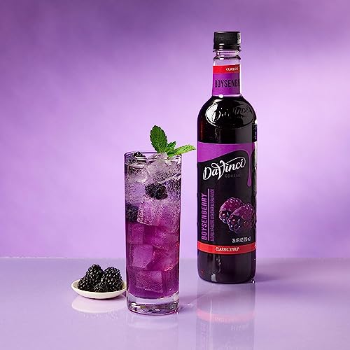 DaVinci Gourmet Boysenberry Syrup, 25.4 Fluid Ounce Pack of 1