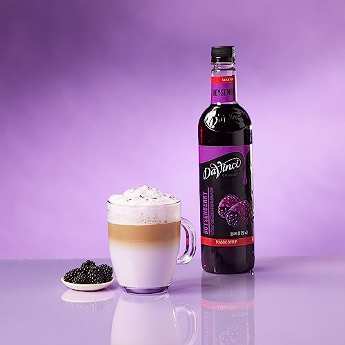 DaVinci Gourmet Boysenberry Syrup, 25.4 Fluid Ounce Pack of 1