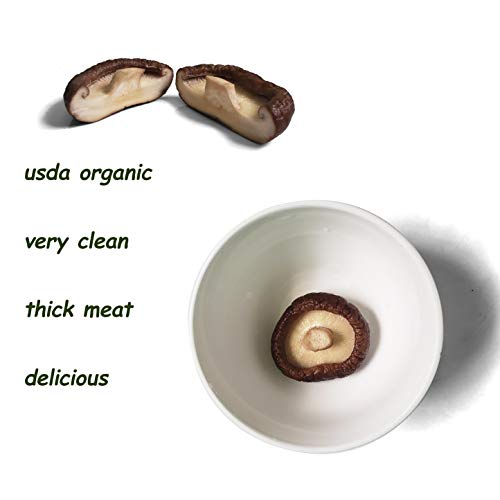 Organic Shiitake Mushrooms Dried - Shitake Mushroom Large Size