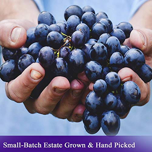 Organic Italian Balsamic Vinegar Of Modena 2-Pack - De La Rosa