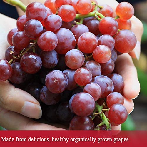 Organic Red Wine Vinegar - De La Rosa 16.9Oz - Raw &Amp; Unfiltered