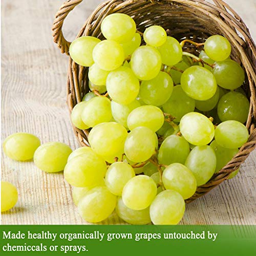 Organic White Wine Vinegar - De La Rosa 16.9Oz - Raw &Amp; Unfiltere