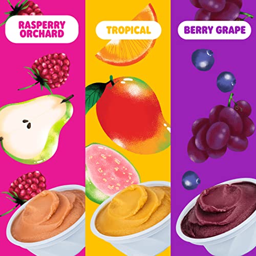 DeeBees Organics Italian Ice Variety Pack, Spoonable Treat Burs...