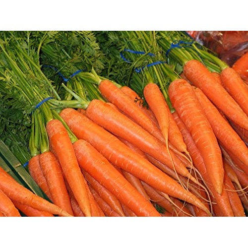 Organic Carrot Juice Powder 16 Oz 1 Lb, Raw And Pure: Deliciou