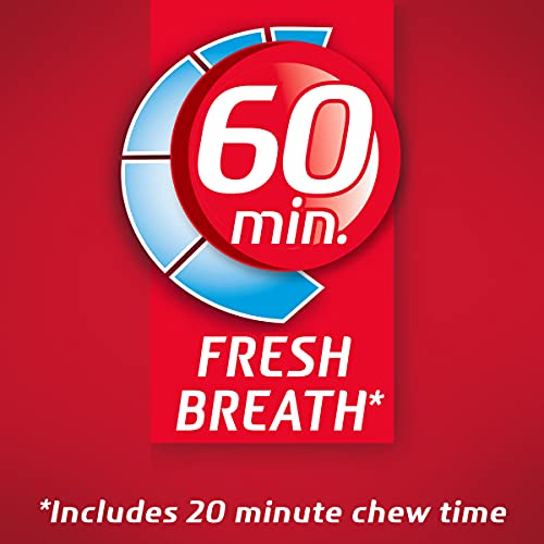 Dentyne Fire Spicy Cinnamon Sugar Free Gum, 9 Packs Of 16 Pieces