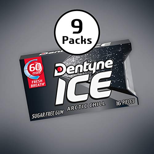 Dentyne Ice Arctic Chill Sugar Free Gum, 9 Packs Of 16 Pieces 1