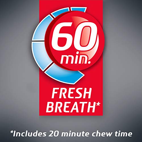 Dentyne Ice Arctic Chill Sugar Free Gum, 9 Packs Of 16 Pieces 1