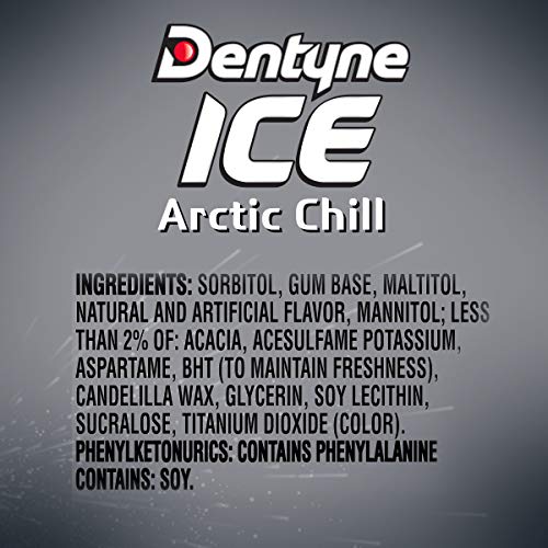 Dentyne Ice Arctic Chill Sugar Free Gum, 9 Packs Of 16 Pieces 1