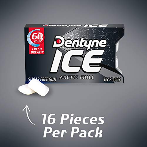 Dentyne Ice Arctic Chill Sugar Free Gum, 9 Packs Of 16 Pieces 1