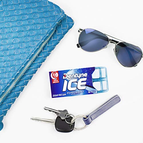 Dentyne Ice Peppermint Sugar Free Gum, 9 Packs Of 16 Pieces 144