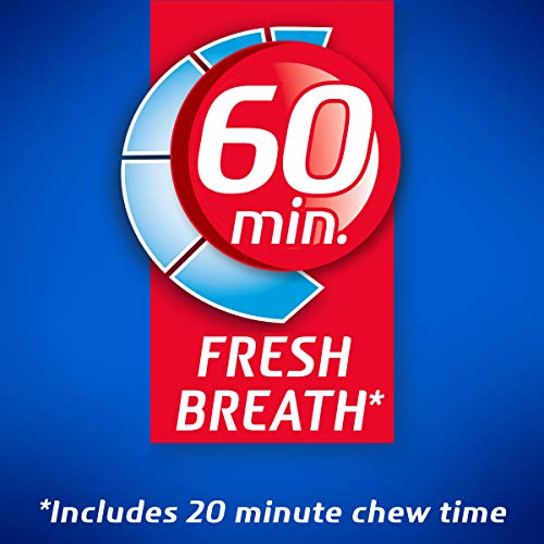 Dentyne Ice Peppermint Sugar Free Gum, 9 Packs Of 16 Pieces 144