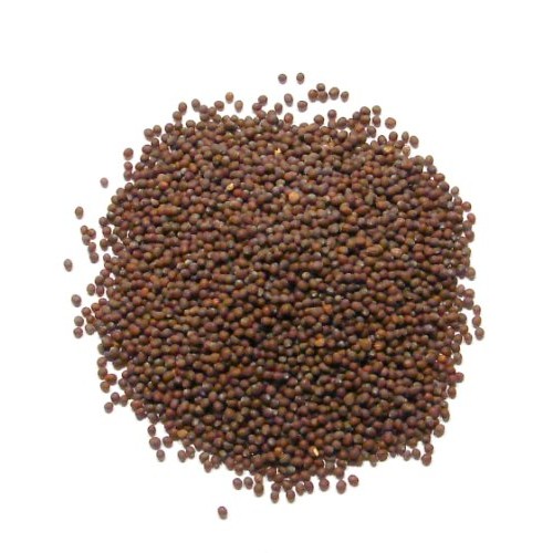Brown Mustard Seed, Whole - 1/2 Pound 8 Ounces - North Ameri