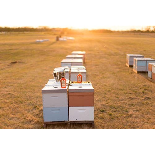 Raw, Unfiltered, Unpasteurized Texas Honey By Desert Creek Honey