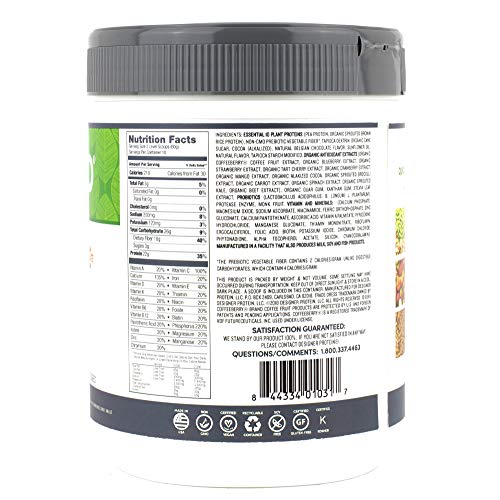Designer Plant Vegan Meal Replacement Protein Powder, Belgian Ch