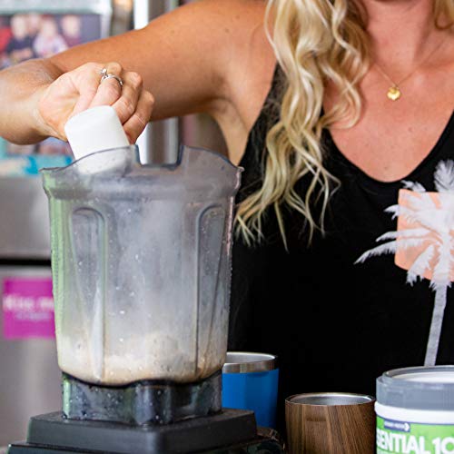 Designer Plant Vegan Meal Replacement Protein Powder, Belgian Ch