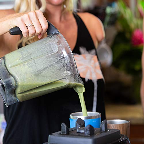 Designer Protein Plant Vegan Meal Replacement Protein Powder, Ma