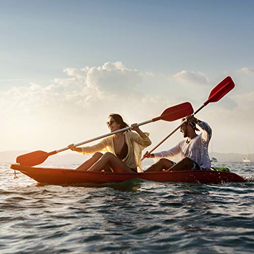 Designer Protein Whey Protein Powder, Gourmet Chocolate, 2 Lb, N