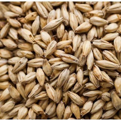 Dingemans Belgian Biscuit Malt Home Brewing Malt Whole Grain 1Lb