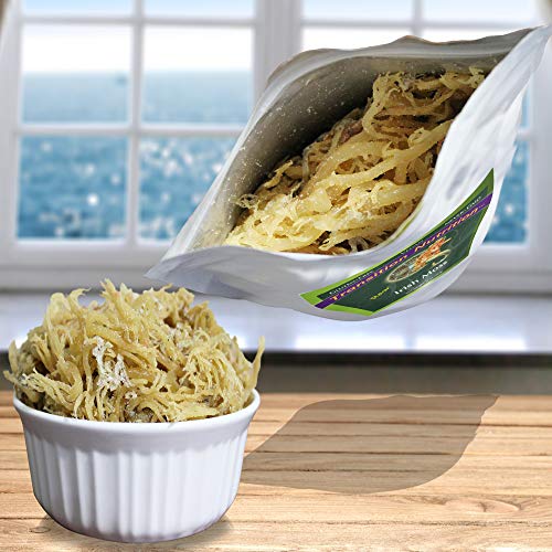 Fresh Whole Leaf Irish Moss - Raw - 16 Oz