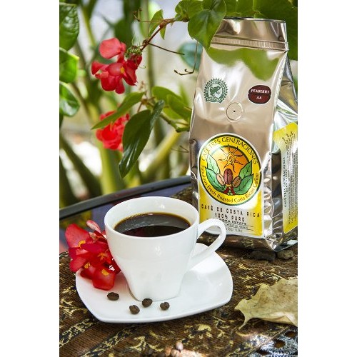 Doka Peaberry Bean Costa Rica Coffee 350Gr