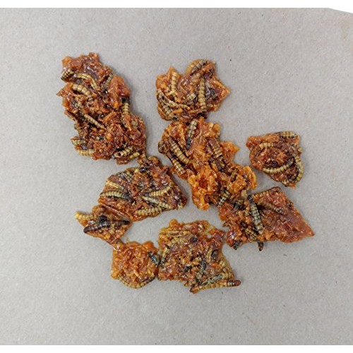 Don Bugito Planet-Friendly Edible Insect Protein Snacks Coconut