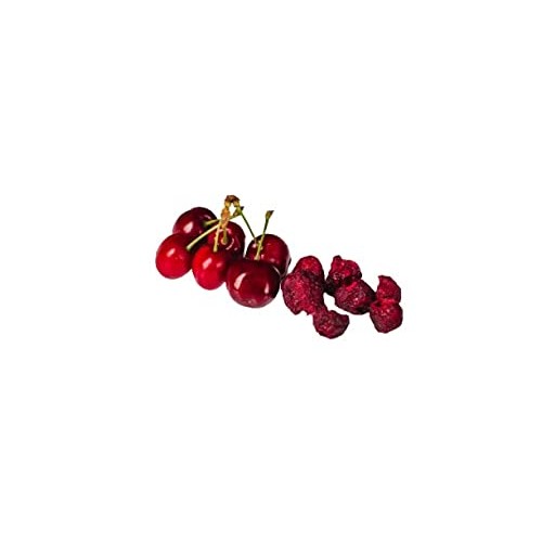 Freeze Dried Sour Cherry 5 Pack Snack Pouches Freeze Dried Tart ...