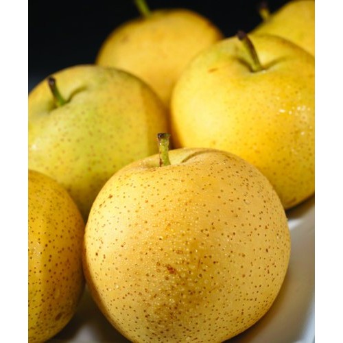 Asian Pears - 5Lbs