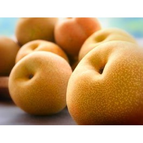 Asian Pears - 5Lbs