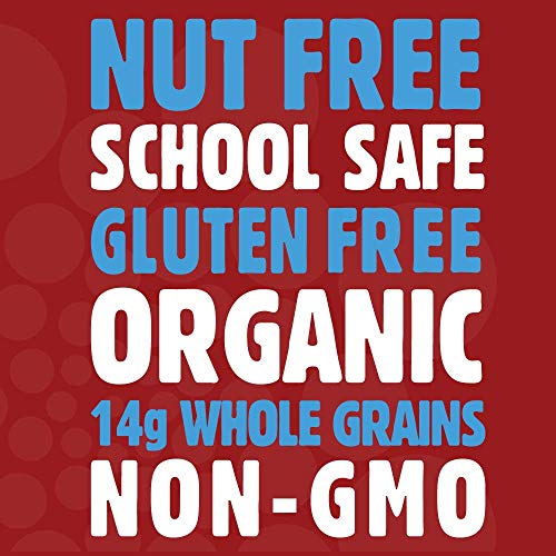 Dont Go Nuts Nut-Free Organic Snack Bars, Whitewater Chomp, Che