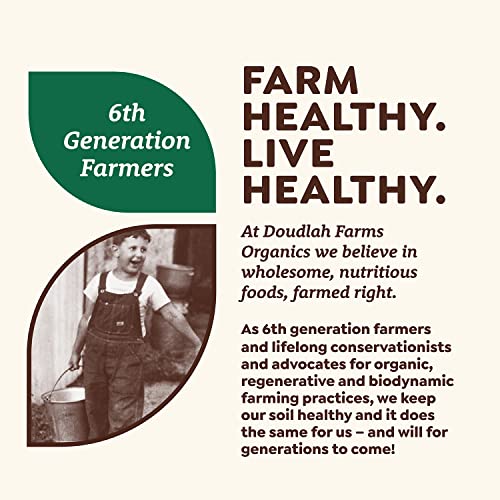 Organic Yellow Cornmeal 5lb by Doudlah Farms - Farmed From Regen...