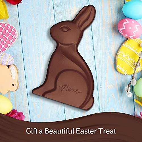 Dove Easter Milk Chocolate Candy Solid Easter Bunny 12-Ounce Box