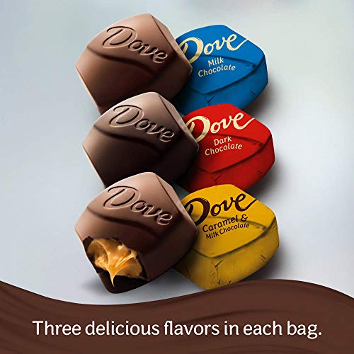 Dove Promises Variety Mix Chocolate Candy Assortment 15.8-Ounce