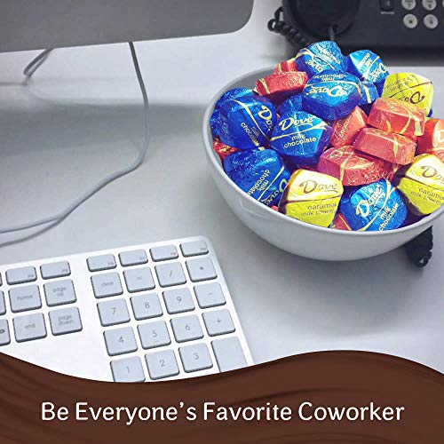 Dove Promises Variety Mix Chocolate Candy Assortment 15.8-Ounce