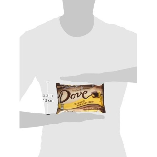 Dove Promises Caramel And Milk Chocolate Candy 7.94-Ounce Bag P