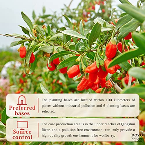 DOZO Goji berries 400g 200g*2 14.1oz Chinese Wolfberry Herbal ...
