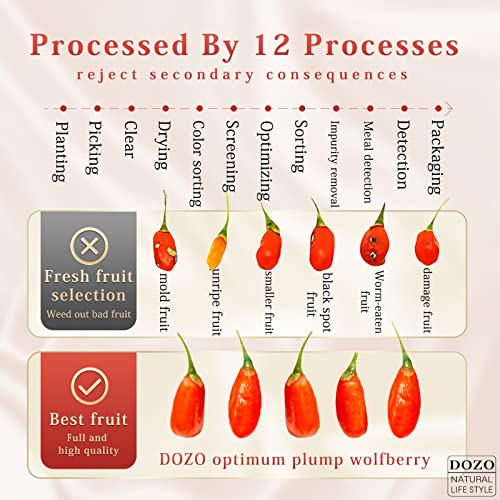 DOZO Goji berries 400g 200g*2 14.1oz Chinese Wolfberry Herbal ...