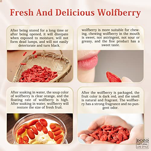 DOZO Goji berries 400g 200g*2 14.1oz Chinese Wolfberry Herbal ...