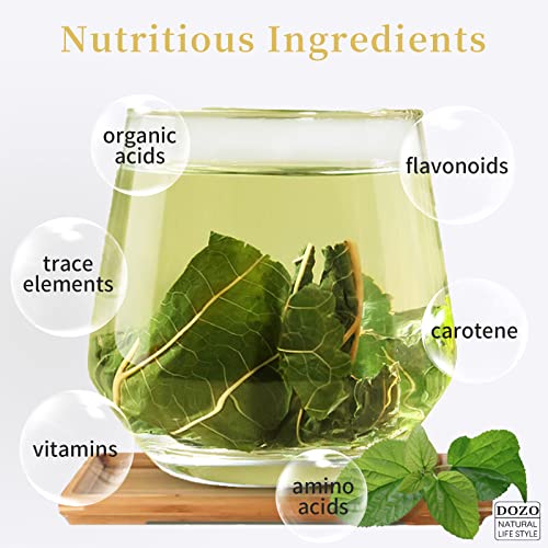 DOZO Mulberry Leaf Tea 400g（200g*2）14.1oz Healthy Herbal Tea S...