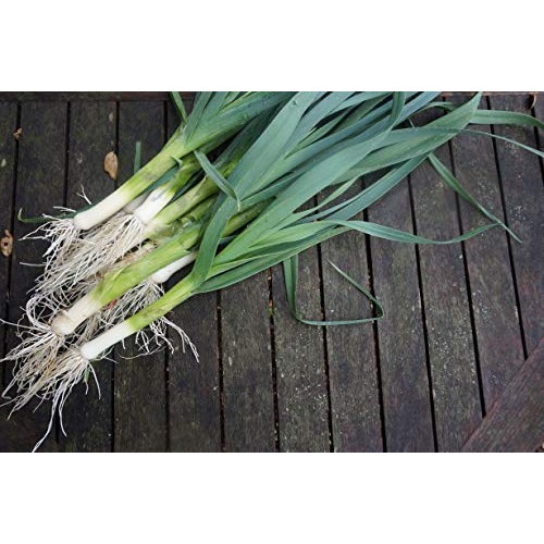 Dr. Cowans Garden Threefold Blend Savory Vegetable Powder, With