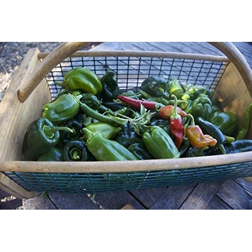 Dr. Cowans Garden Threefold Blend Savory Vegetable Powder, With