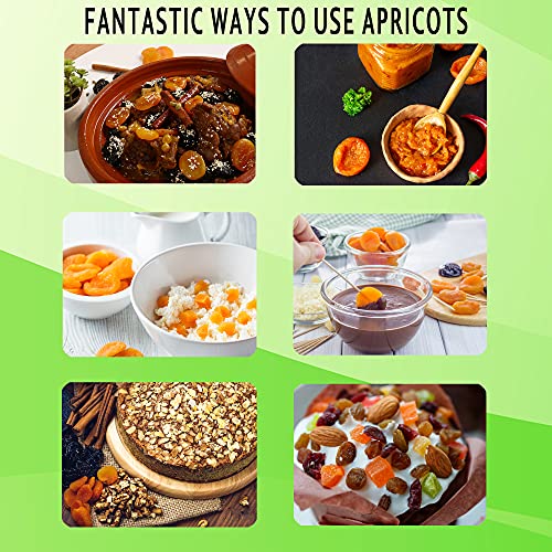 Dried Apricots No Sugar Added, Dried Fruits Bulk Turkish Snacks,