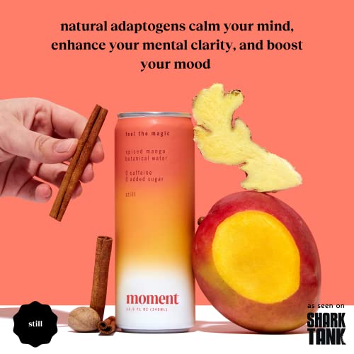 Moment Botanical Drink as seen on Shark Tank - STILL Spiced Ma...