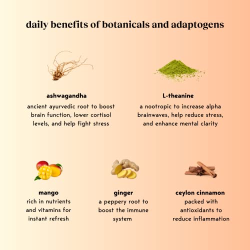 Moment Botanical Drink as seen on Shark Tank - STILL Spiced Ma...