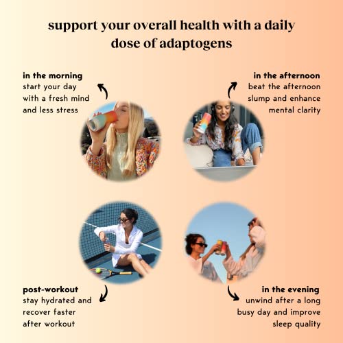 Moment Botanical Drink as seen on Shark Tank - STILL Spiced Ma...